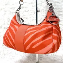 COACH Y2K Rare Color Zebra Canvas Bag