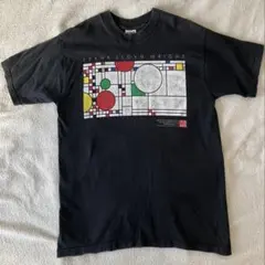 2026年最新】フランク・ロイド・ライト メンズ Tシャツの人気アイテム
