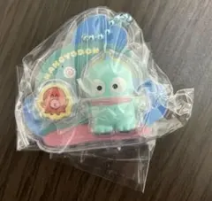 サンリオキャラクターズ パッケージチャーム ハンギョドン