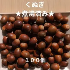 くぬぎ　100個　煮沸済み　どんぐり　木の実　2〜2.5cm程