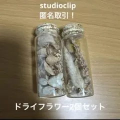 studioclip ドライフラワー2個セット