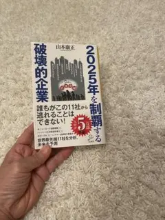 破壊的企業 山本康正著 2025年