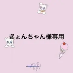 きょんちゃん様専用
