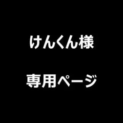けんくん様 リクエスト 2点 まとめ商品