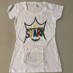 SPARK HAWAII 半袖Tシャツ M 嵐のサムネイル