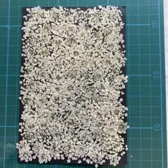 Item thumbnail for item 1996934a-b766-450e-9680-bc684683fd34