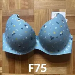 Item thumbnail for item 6de9fd15-87c1-4f0b-adc4-925ad9a30dbd