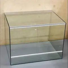 サボテン　アクリル水槽　900×430×350 8\5 サボテン様専用 アクリル水槽 900×430×350 8 - メルカリ