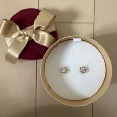 Canal 4℃ ピアス クリスマス限定