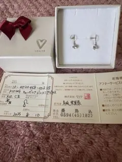 K10 WG フックデザインピアス、保証書付き