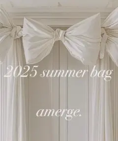 【年始価格！】amerge summer bag