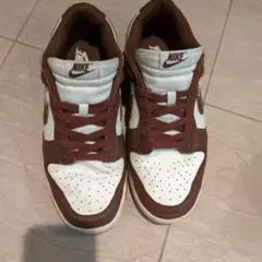 Nike スニーカー ブラウン/ホワイト