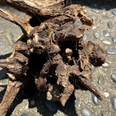 流木　インテリアのサムネイル