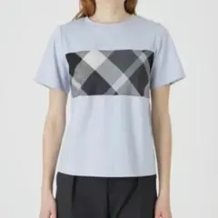 【新品】ブルーレーベルクレストブリッジ　Tシャツ　38M　サ　バーバリー　353