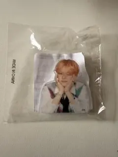 Treasure ヨシ アクリルクリップ カプセルトイ