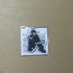 Item thumbnail for item 8e491dae-90f3-401f-ac59-ccca5e64e3be