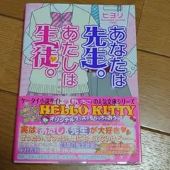 他とセット売りOK  あなたは先生。あたしは生徒。 野いちご文庫 恋愛小説