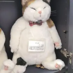 短足ころころボディ♡子猫ちゃん♡アートドール♡ぬいぐるみ♡ マンチカン子猫メイちゃん♡短足ころりんボディ♡アートドール
