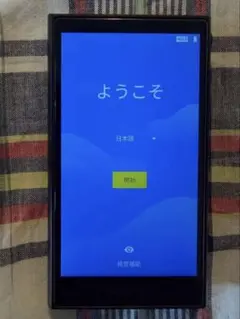 T*A様 SONY NW-ZX300G 128GB WALK MAN 純正ケース - メルカリ