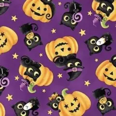 Item thumbnail for item c4e81f12-38e7-491c-92e9-87f239a7cdad