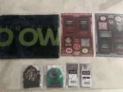 SEKAI NO OWARI THECINEMA マフラータオルおまけ付きのサムネイル
