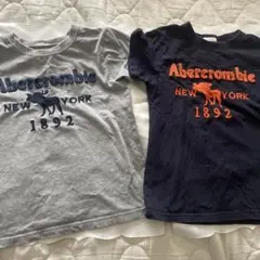 Abercrombie & Fitch Tシャツ 2枚セット S 子供