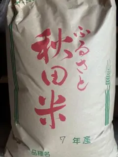24kg】令和7年 新潟県産コシヒカリ24kg玄米 - メルカリ