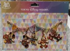 東京ディズニー40周年記念　アクリルキーホルダー 5個セット