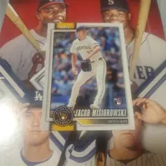 Item thumbnail for item 07b179d4-1ef2-4ea2-9c9b-52b139a0b3c5