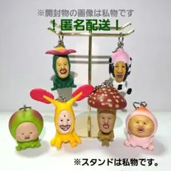 こびとづかん めじるしマスコット 全６種 コンプセット コンプセット ガチャ