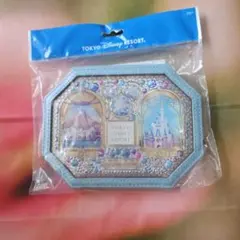 ディズニーリゾート ミラー