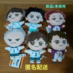 ハイキュー！！ ぬいぷりけ mini2 全4種 - メルカリ