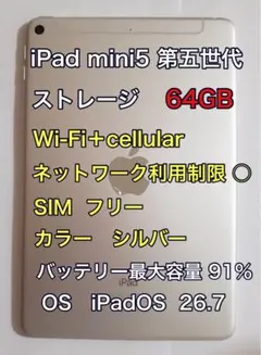 iPad mini5 第5世代 64GB Cellular SIMフリー