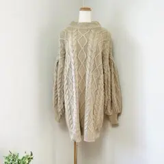 アース プレミアムレーベル 【F】ケーブル編みニット アイボリー 体型カバー