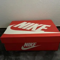 #空箱　#NIKE GO FLYEASE 10 (US) / 8.5 (US)