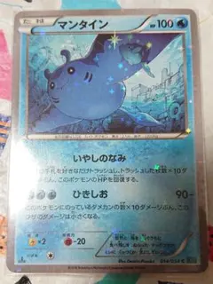 マンタイン 1ed XY11 キラキラスリーブ付きのサムネイル