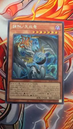2026年最新】フィドラウリスハルモニアの人気アイテム - メルカリ