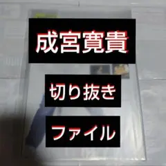 【最終値下げ】【貴重】成宮寛貴 切り抜きファイル1冊 雑誌7冊分14枚