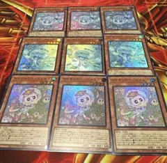 マルチャミープルリア　マルチャミーニャルス　マルチャミーフワロス 　スーパー3枚