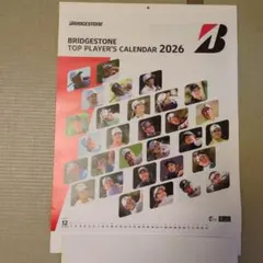 Item thumbnail for item 0d700bf9-5df3-44e9-b5f4-a106fee22b75