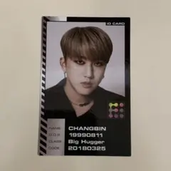 stray kids スキズ ODDINARY チャンビン トレカ