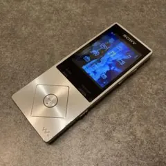 SONY WALKMAN NW-A25 シルバー