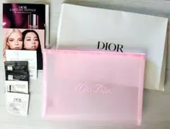 ディオール　メッシュ　フラットポーチ