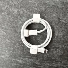 iPhone 充電器 純正 タイプC lightning ケーブル Apple