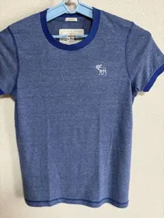 abercrombie & FITCH アバクロ メンズＳダメージブルーロゴＴ