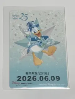 リゾートラインフリーきっぷ ドナルド ドナルドの日 コレクション用
