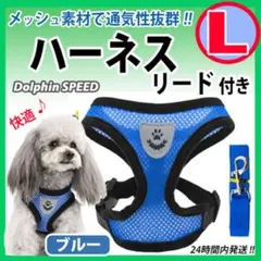 Item thumbnail for item 5a6a4dab-1a6b-4625-9cab-c7334a408521