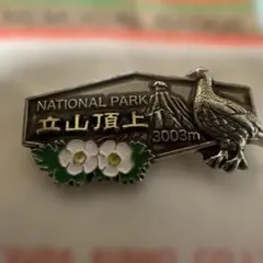 Item thumbnail for item 5bb9c02c-8528-4dfb-965e-e2a9266ec6cc