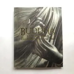 大山けいたろう様 リクエスト 10点 まとめ商品
