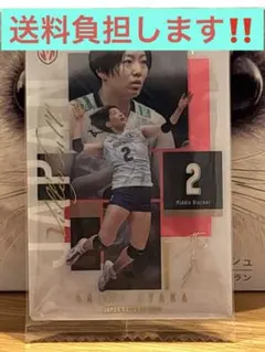 荒木彩花 バレーボール 日本代表 トレーディングカード